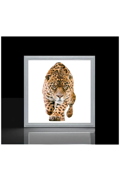 Gökyüzü Panel Leopar Led Avize 60cmx 60xm Büyük Kare-54w Güçlü Işık 30m2 Alan Aydınlatır- Sıva Üstü Kolay Montaj