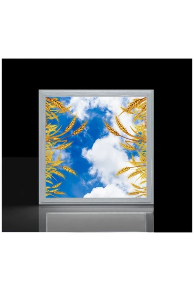 Gökyüzü Panel Salon Avize Modeli - 54watt Aydınlatma -60cmx60cm -led Işık Avize- Baskılı Tasarım-tavana Yapışık - 4