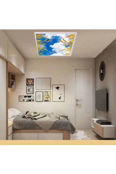 Gökyüzü Panel Salon Avize Modeli - 54watt Aydınlatma -60cmx60cm -led Işık Avize- Baskılı Tasarım-tavana Yapışık - 3