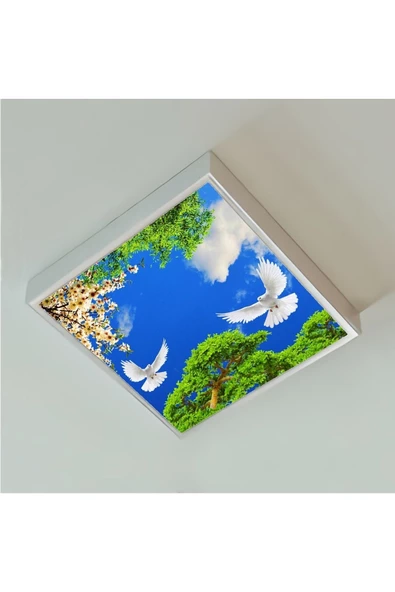 Gökyüzü Panel Led 60x60 Büyük Model Hd Baskılı-trendyol Avize-ev-banyo-salon Avize Modelleri-54watt-tavana Model - 2