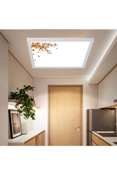 Gökyüzü Panel 54watt-güçlü Işık-özel Tasarım-60x60 Ledli Koridor Tavan Avize-tavana Yapışık Yatak Odası Led Avize