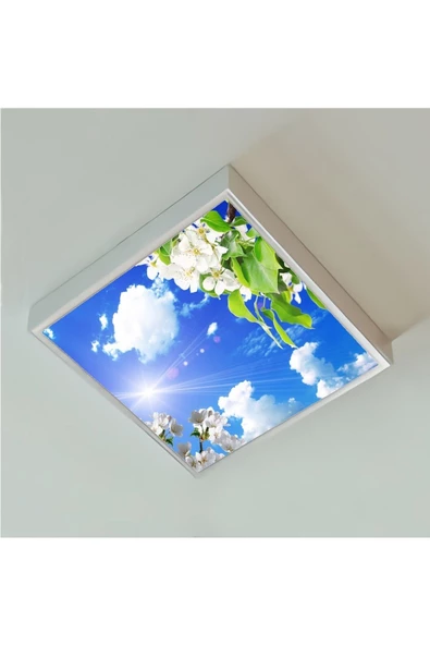 Gökyüzü Panel 60x60 Ledli-trendyol Avize-bulutlu Çiçekler Tavan Avize-54watt-tavana Yapışık Lamba-salon Avize