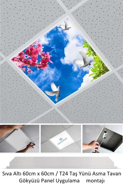 Gökyüzü Panel Asma Tavan-60cmx60cm-sıva Altı-54w-6500k-beyaz-led Panel-led Armatür- 60x60 Taş Yünü Asma Tavan-led - 2