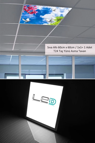 Gökyüzü Panel Asma Tavan-60cmx60cm-sıva Altı-54w-6500k-beyaz-led Panel-led Armatür- 60x60 Taş Yünü Asma Tavan-led - 3