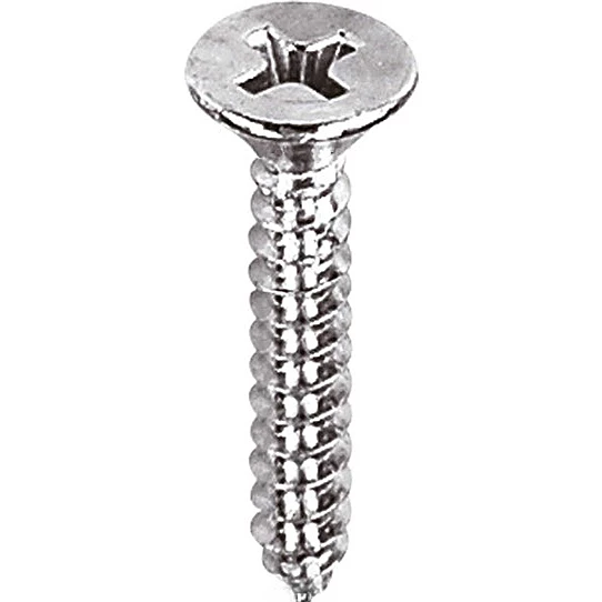 Aletçantam Havşa Başlı Küçük Vida Mini Sac Vidası Yhb 2.9x22 -500 Adet