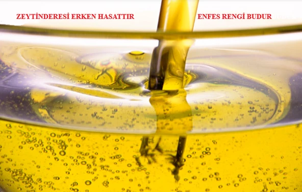 Zeytinderesi 15 Lt Natürel Sızma Soğuk Sıkım Zeytinyağı - 2