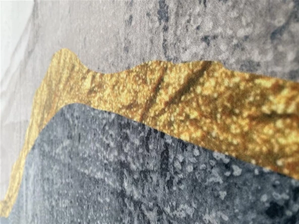 Bambu Halı Salon Halısı Post Pelüş Halı Modern desenli Gold Krem - 5