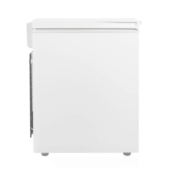 Tecna CF3320 TYE 3305 Dual Yatay Derin Dondurucu 305 L - 3