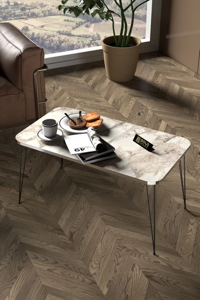 Zigon Sehpa Kr Ve Orta Sehpa Kr Set Gümüş Efes Tel Ayak Siyah - Resim 2