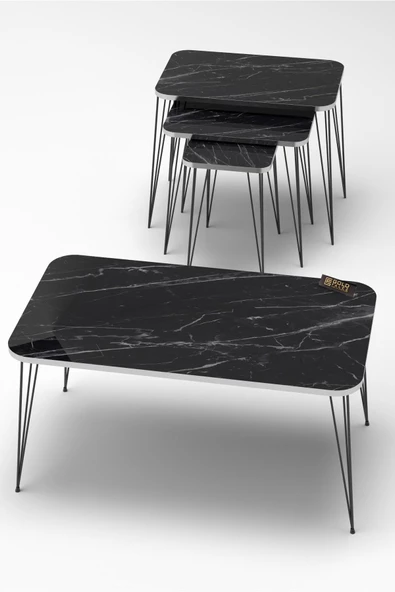 Zigon Sehpa Kr Ve Orta Sehpa Kr Set Gümüş Bendir Tel Ayak Siyah - Resim 5