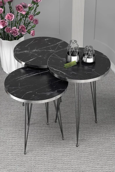 Zigon Sehpa Ve Orta Sehpa Elips Set Siyah Tel Ayak Gümüş Bendir - Resim 2