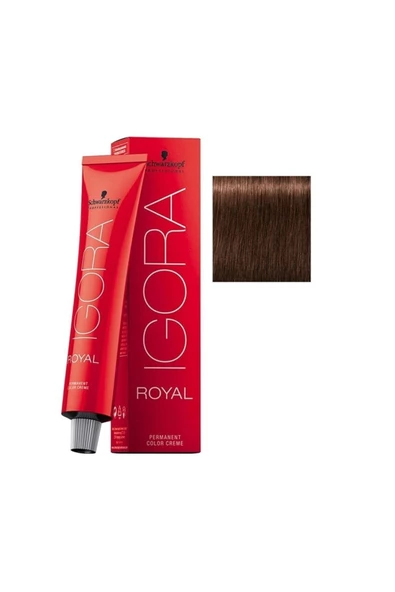3 ADET Igora Royal 5-6 Açık Kahve-Çikolata Saç Boyası