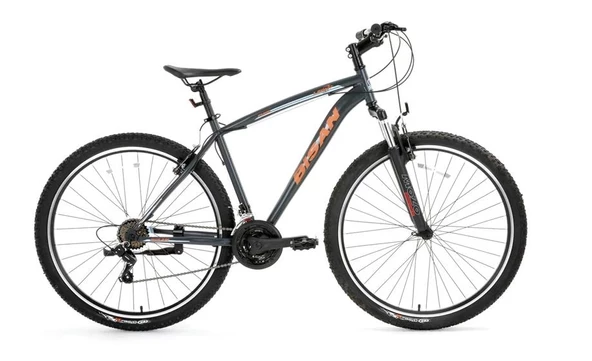 BİSAN LEON ERKEK DAĞ BİSİKLETİ 34CM V 24 JANT 21 VİTES MAT GRİ TURUNCU