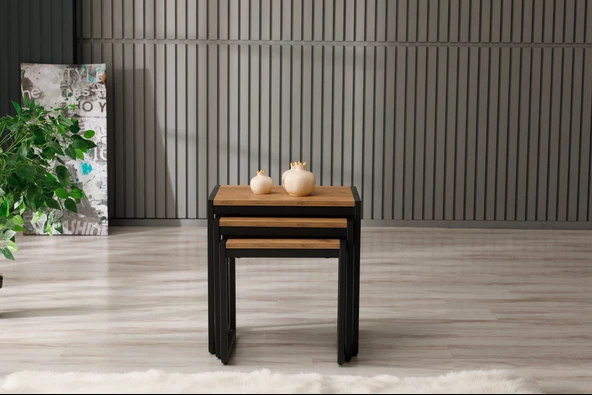 Arpelia Üçlü Zigon Sehpa 50x40x52/45x40x46/40x40x40 - 4