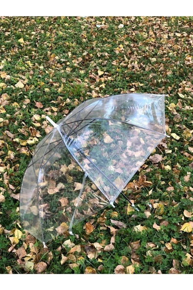 Rainwalke r8 Telli Fiber Iskelet Otomatik Açılır Şeffaf Şemsiye - 2