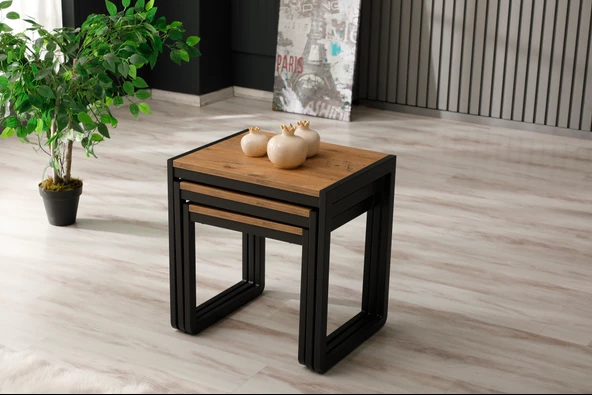 Arpelia Üçlü Zigon Sehpa 50x40x52/45x40x46/40x40x40 - 3