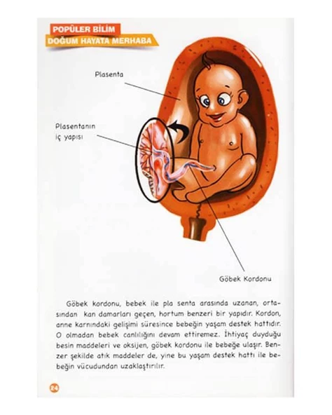 Doğum Hayata Merhaba Timaş Çocuk - Resim 2
