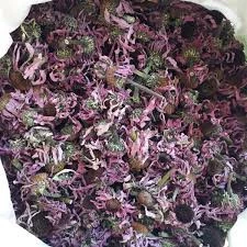 Ekinezya 100 Gr Ücretsiz Kargo ürün görseli