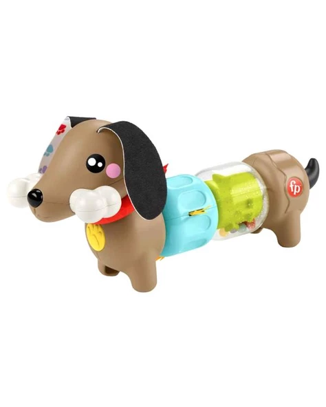 Fisher Price Köpekçikle Eğlenceli Aktiviteler HTW91
