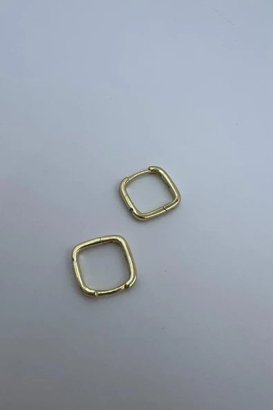 TİNY EARRİNG( ALTIN KAPLAMA MİNİ KÜPE) - Resim 3