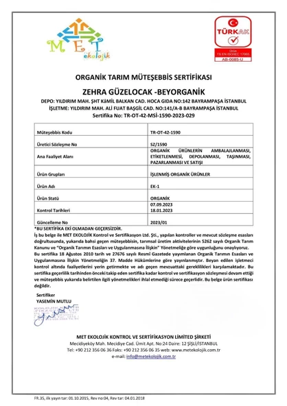 Organik Ginger Shot (7ADETX30ML) Cam Şişe