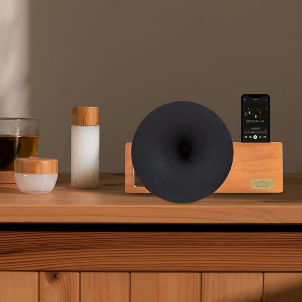 Muse Açık Ceviz Akustik Gramofon - 2