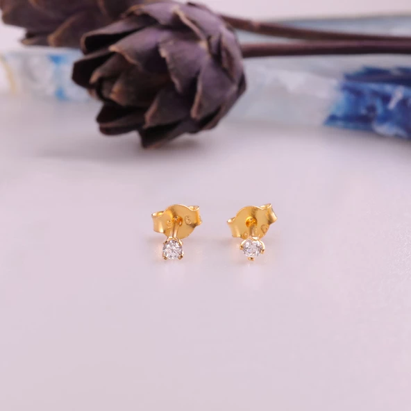 925 Ayar Gümüş Minimal Tektaş Küpe- ÇAP:2,5 mm - 4