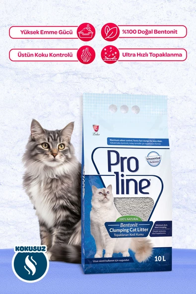 Proline Kokusuz Topaklanan Bentonit Kedi Kumu 10 Lt