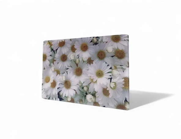 CAM KESME TAHTASI BEYAZ PAPATYALAR 30 X 40 ürün görseli