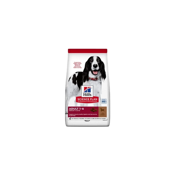 Hill's Adult Medium Lamb Rice Kuzu Etli ve Pirinçli Yetişkin Köpek Maması 14 kg