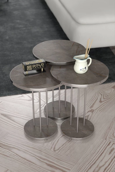 ORTA SEHPA VE ZİGON SEHPA TERRA GÜMÜŞ GORDİON - Resim 4