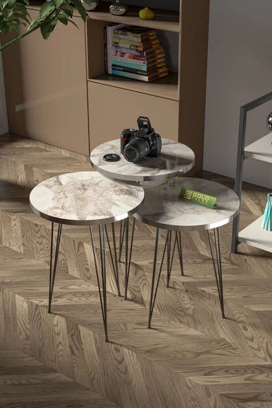 Zigon Sehpa Ve Orta Sehpa Elips Set Siyah Tel Ayak Gümüş Efes - Resim 2