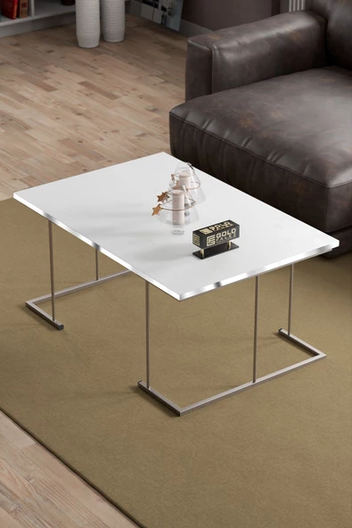 ORTA SEHPA VE ZİGON SEHPA SOLO SET GÜMÜŞ BEYAZ - Resim 2