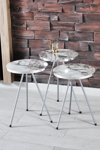 Zigon Sehpa ve Orta Sehpa Elips Gümüş Metal Ayak Gümüş Efes Set - Resim 3