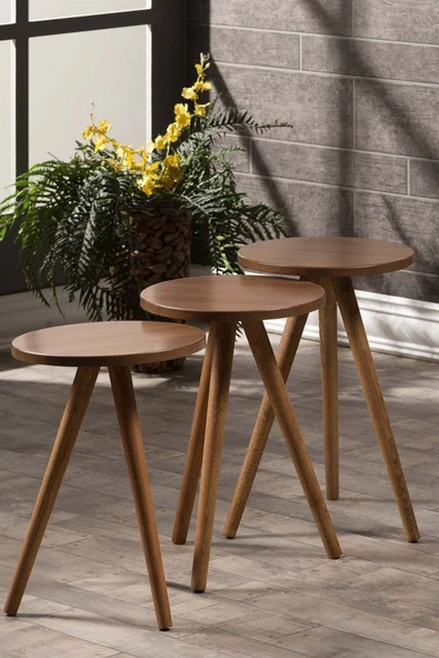 Zigon Sehpa Ve Orta Sehpa Set Ahşap Kr Torna Ceviz - Resim 2