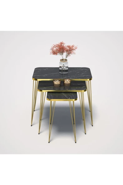 Zigon Sehpa Kr Gold Bendir Tel - Resim 4