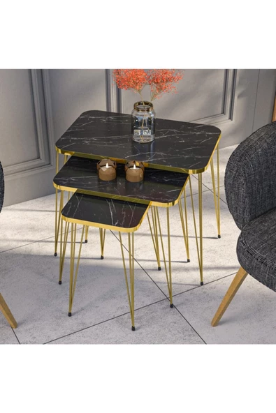 Zigon Sehpa Kr Gold Bendir Tel - Resim 3