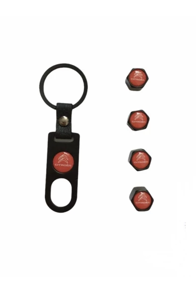 Teknotik Citroen C3 Picasso Anahtarlık ve Sibop Kapağı Seti - Resim 2