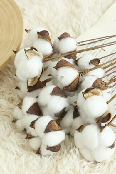 tml temalife 10 'lu Doğal Pamuk Dallari - 6