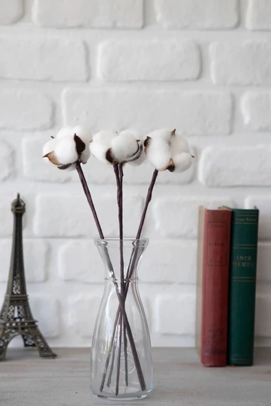 tml temalife 10 'lu Doğal Pamuk Dallari - 2