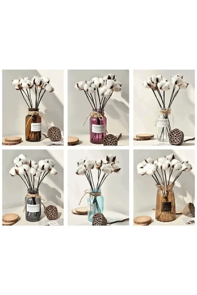 tml temalife 10 'lu Doğal Pamuk Dallari - 4