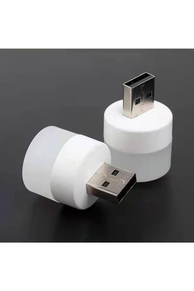 TEMALİFE Usb Led Küçük Beyaz Işık Lamba, Koridor,Tuvalet, Oturma,Çocuk Odası Rehber Gece Aydınlatma