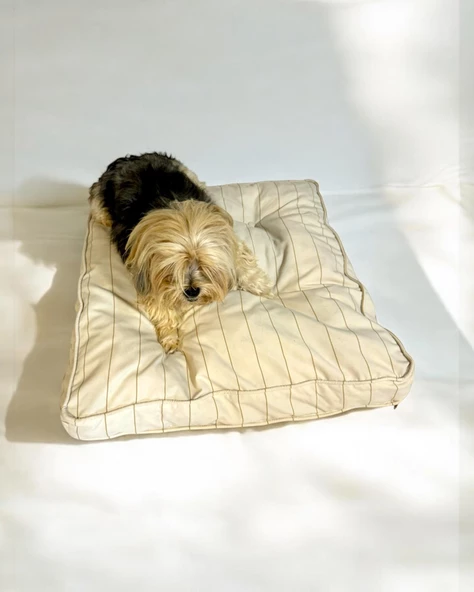 Stripe Ecru Kedi Köpek Minderi 65 x 65 cm - 2