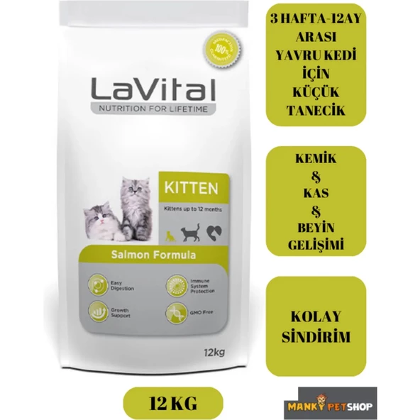 Lavital Somonlu Yavru Kedi (12KG) - 2