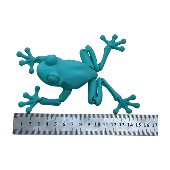 3d Hareketli Kurbağa Figürlü Oyuncak - Turkuaz - Resim 6