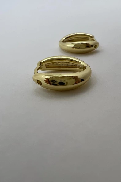 BUĞDAY TANESİ OVAL KÜPE - Resim 5