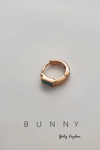 Mine plakalı helix ve tregus altın kaplama piercing 10 MM - 3