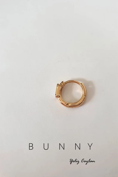 Mine plakalı helix ve tregus altın kaplama piercing 10 MM - 9