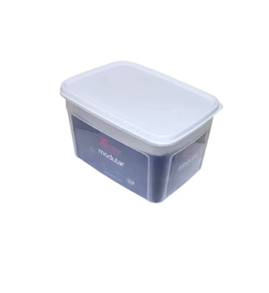 Geseus Moonstar Süzgeçli Peynir Saklama Kabı 2 Litre BPA FREE-MS06 - 5