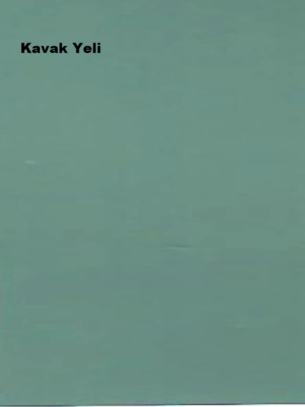 Marshall Antibakteriyel Hijyen İpek Mat İç Cephe Boyası Kavak Yeli 2,5 Lt (3,5 Kg) - Resim 2